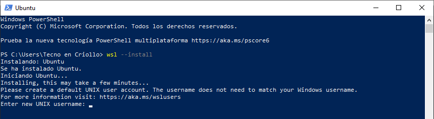 WSL2